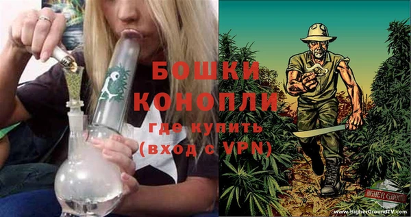 ПСИЛОЦИБИНОВЫЕ ГРИБЫ Лихославль