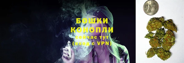 ПСИЛОЦИБИНОВЫЕ ГРИБЫ Лихославль