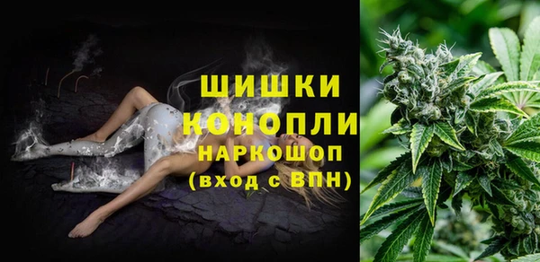 ГАЛЛЮЦИНОГЕННЫЕ ГРИБЫ Ладушкин