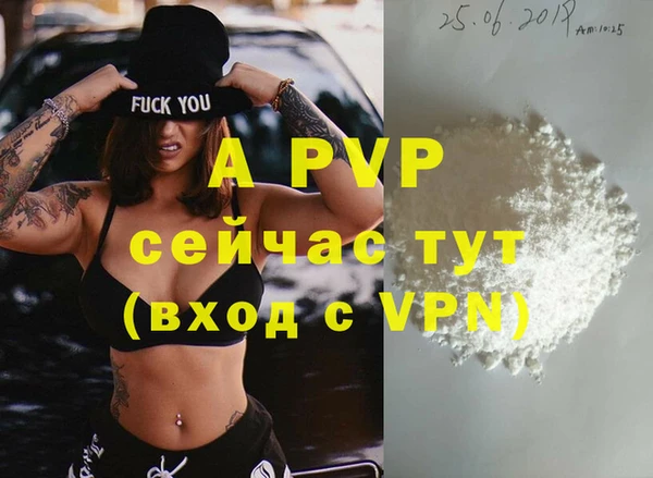 ГАЛЛЮЦИНОГЕННЫЕ ГРИБЫ Ладушкин