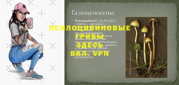 первитин Лиски