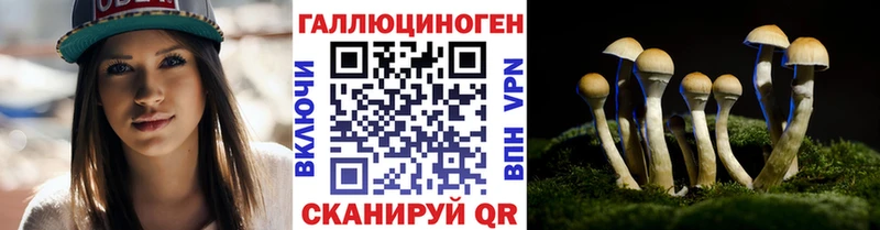 Купить Плавск Псилоцибиновые грибы Psilocybe